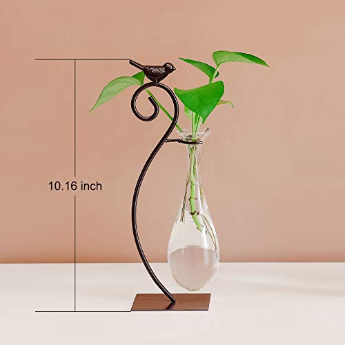Desktop Glass Planter Hydroponics Vase
