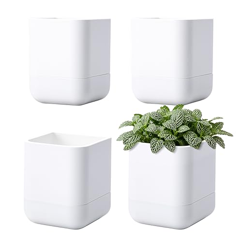 3.5 Inch Wall Mounted Self (3.5" (4 Pack) / White)