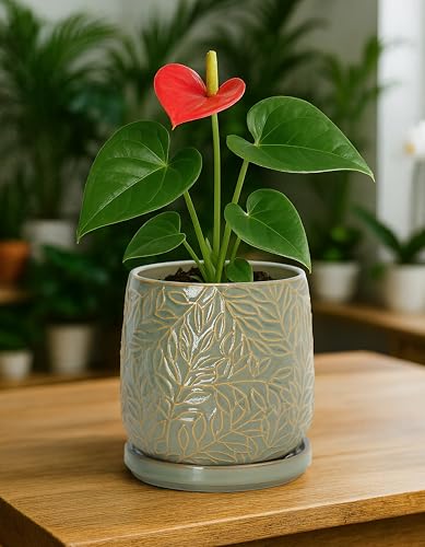 Embossed Leaves Ceramic Planter (5 Inch / Olive)