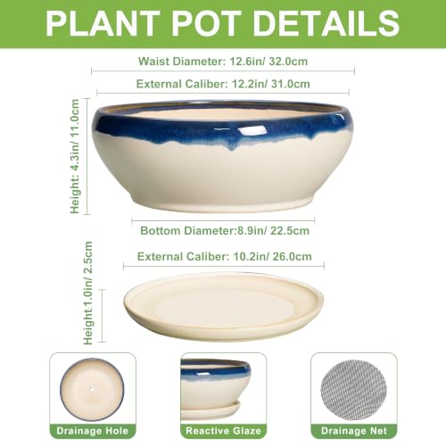 Bonsai Tree Pots (12 Inch / Blue-beige)