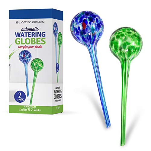 Self Watering Bulbs for Plants (Large)