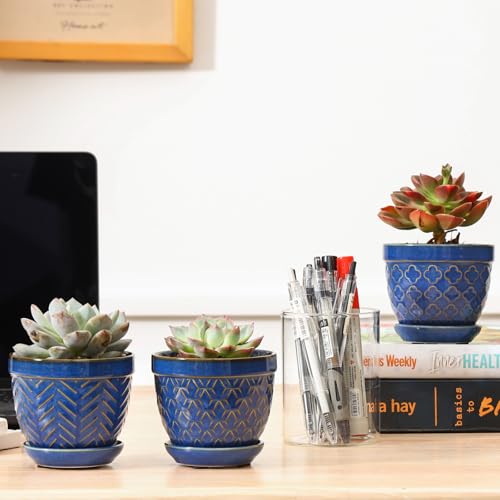 Sureasy Succulent Pots (4 Count)