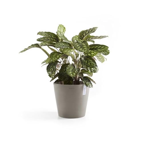 Amsterdam Round Flower Planter (Taupe / 12 Inches)
