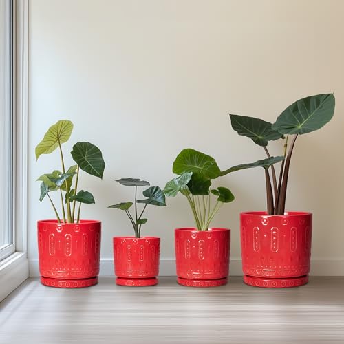 6 Inch Plant Pot (6 Inch / Red)