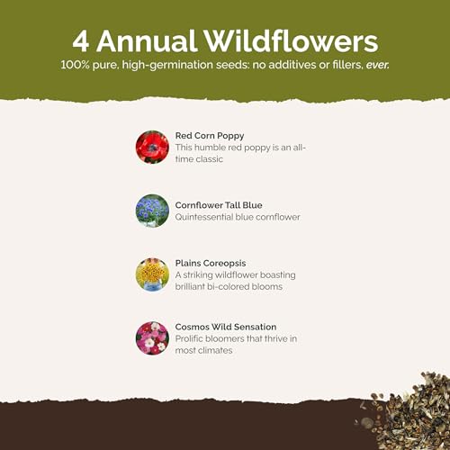 Endless Summer Annual Succession Flower Mixed Seeds for Planting (1 Pound / Endless Summer)