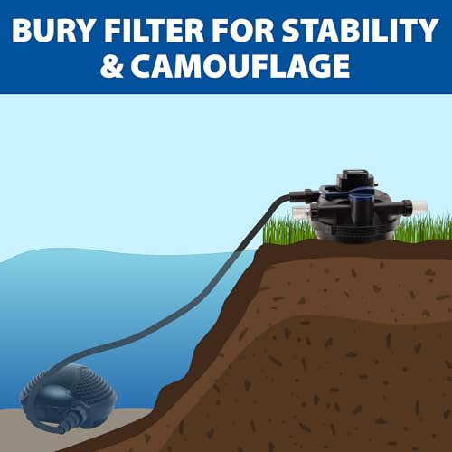 AllClear 8000 G3 & SolidFlo 3600 Pump Combo System (AllClear 8000 G3 & SolidFlo 3600)