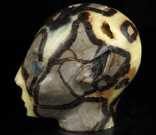 3.5" Dragon Septarian Stone Hand Carved Fairy Elf Alien Crystal Skull Companion with Eyes (Skullis 3.5" Dragon Septarian Stone 81)