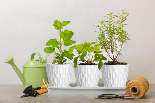 4 Inch Plant Pots (White / 4inch)