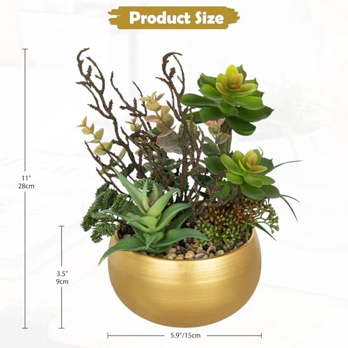 Artificial Succulent Plants in Gold Pot Faux Succulent Arrangement Fake Potted Plants with Pebbles for Home Office Desk Shelf Table Decor (Gold)