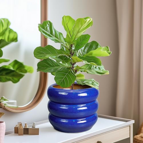 8 Inch Plant Pot (8 Inch / Gemstone Blue)