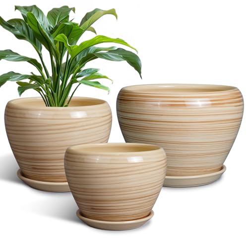 Ceramic Pots for Plants (3 Count)