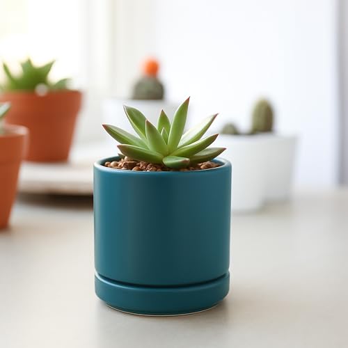 2 Pack Ceramic Pots with Saucers (2 Count)