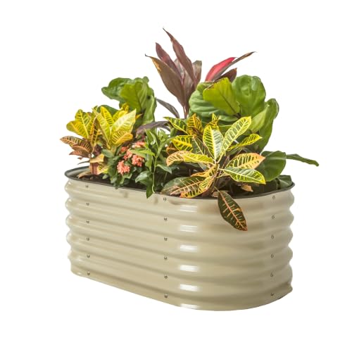 17" Tall Kids First Garden Bed 24" x 42" Raised Planter Box Outdoor Metal Galvanized Gardening Bed for Vegetables Herb & Flower (Pearl White / 24"(W) x 42"(L) x 17"(H))
