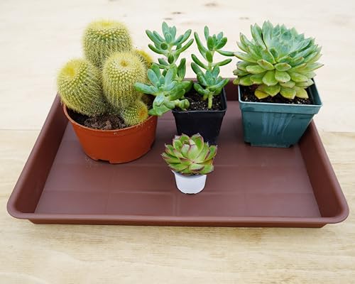 Rectangle Plant Tray