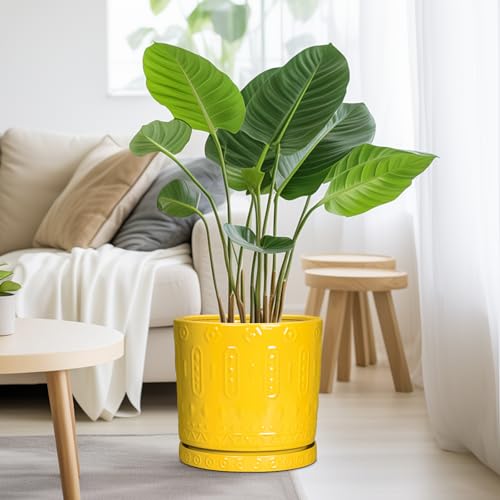 Ceramic Pots for Plants (10 Inch / Yellow)