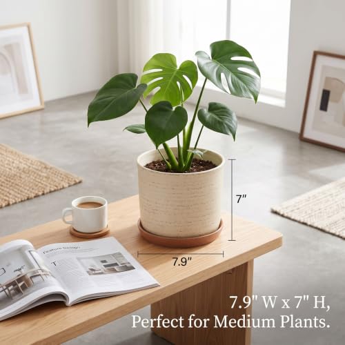 8 Inch Ceramic Plant Pot with Drainage Hole & Separate Saucer (Brush Color / 8 inch)