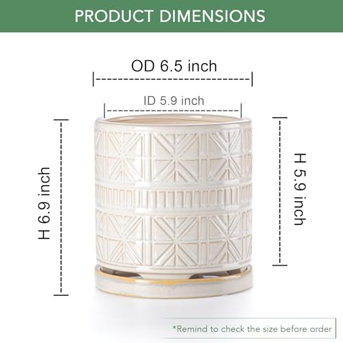 Ceramic Plant Pots Indoor (6 inch / White1)