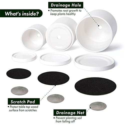 3 Pack White Terracotta Pots & Saucers (4+5+6 Inch / White)