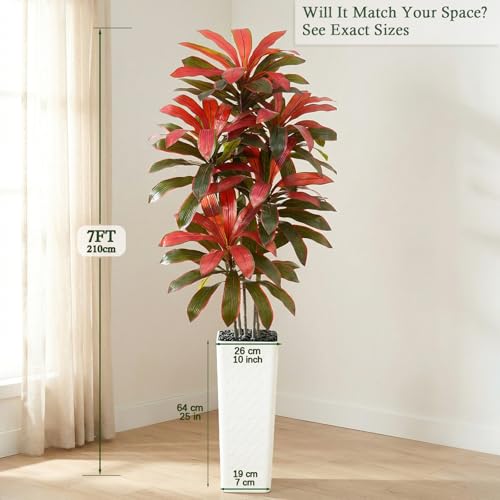 Artificial Dracaena Tree (Burgundy – White Pot / 7FT)