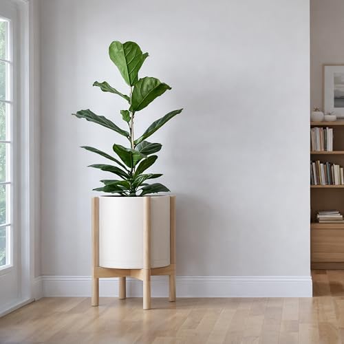 Plastic Pot with Natural Wood Stand (Oatmeal Pot + Natural Stand / 12 Inch)
