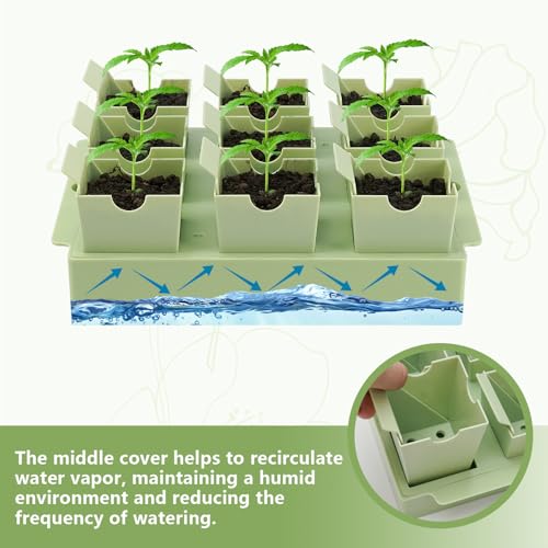 2 Pack Seed Starter Trays