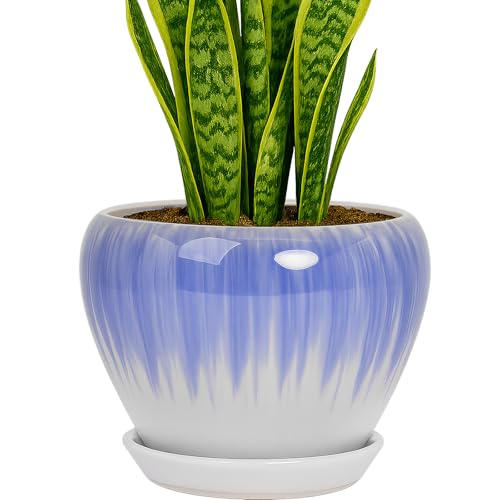 8 Inch Plant Pots