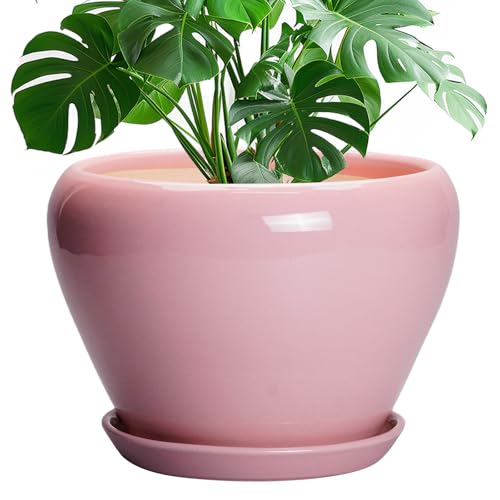 10 Inch Plant Pot (10 Inch / Pink)
