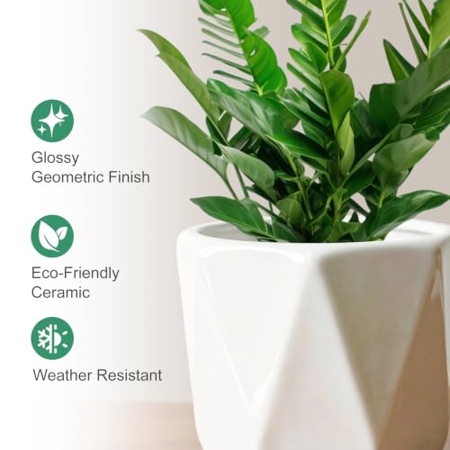 White Ceramic Planter Set of 3 with Drainage and Saucer (Pure White)