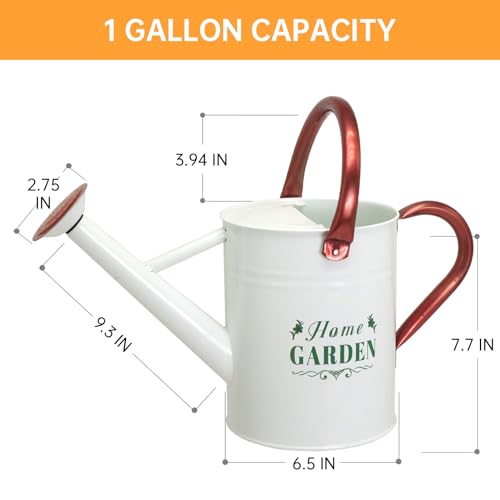 Metal Watering Can for Outdoor Plants (White)