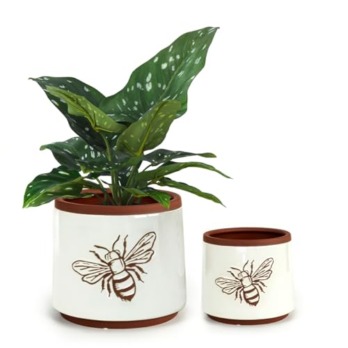 Terracotta Pots (6+4 Inch / White Bee)