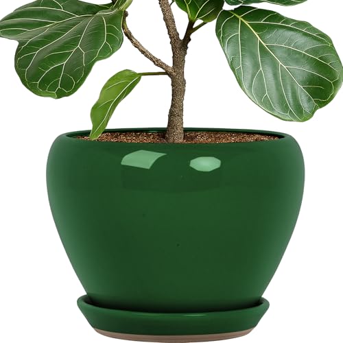 10 Inch Plant Pot