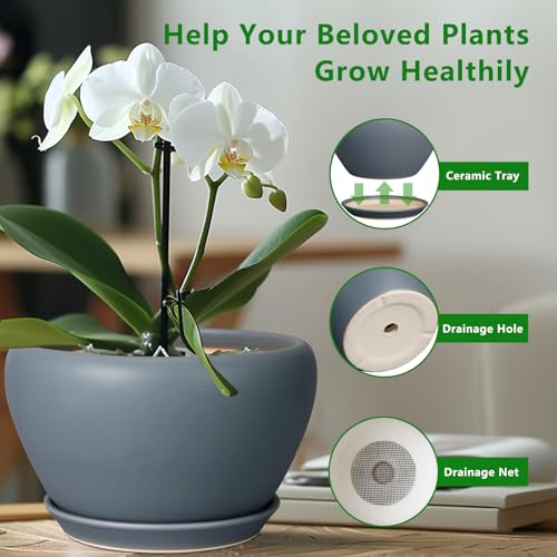 Ceramic Pots for Plants