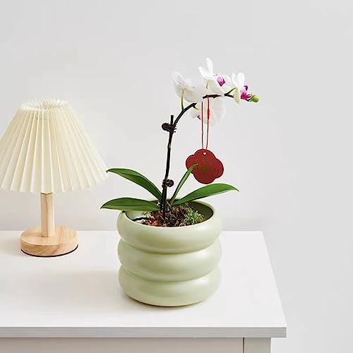 Ceramic Plant Pot Indoor