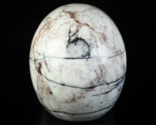 5.0” Black Picasso Jasper Crystal Skull (5.0 Inches Black Picasso Jasper1)