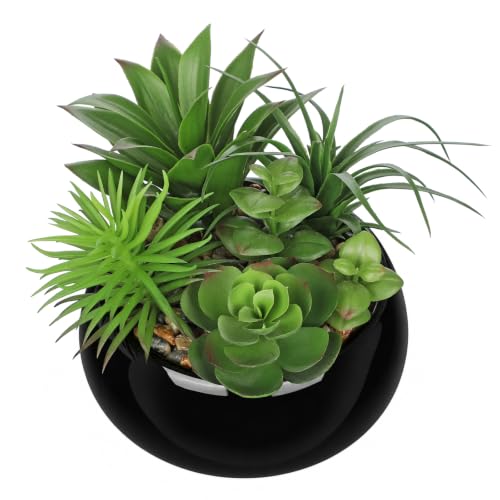 Artificial Succulents in Pots Fake Plants Faux Succulent Arrangement Potted Plant in Vase Black Ceramic Planter Bowl for Office Desk Bathroom Shelf Living Room Indoor Outdoor Home Decor (Black)