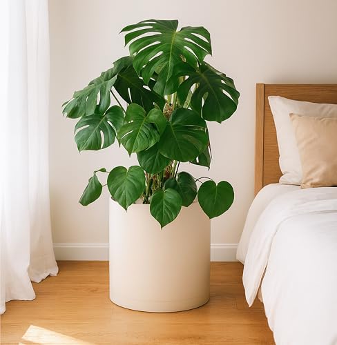 Plastic Planter Pot with Saucer (14 Inch / Oatmeal)