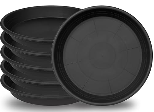 6 Pack Plant Saucer Plant Tray