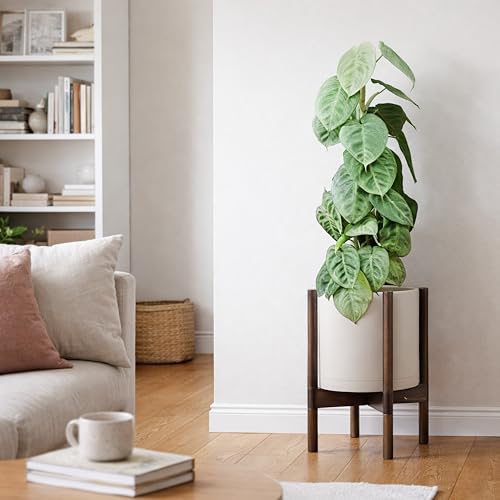 Plastic Pot with Walnut Wood Stand (Oatmeal Pot + Walnut Color Stand / 10 Inch)