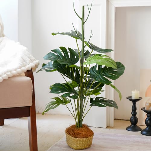 12 Pack Monstera Plant Support Stakes (12Pack-27.5 Inch)