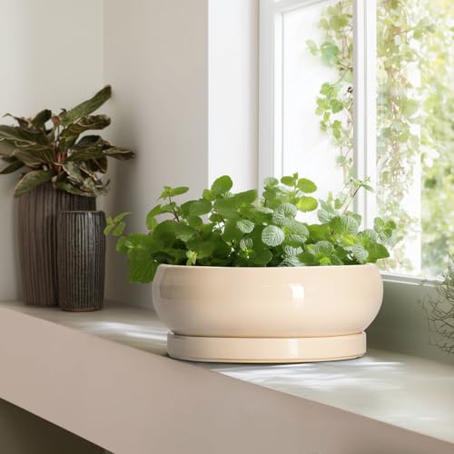 Large Succulent Planters (13 Inch / Beige)