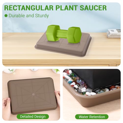 Brown Plant Saucers for Indoors (11 Inch / Brown)