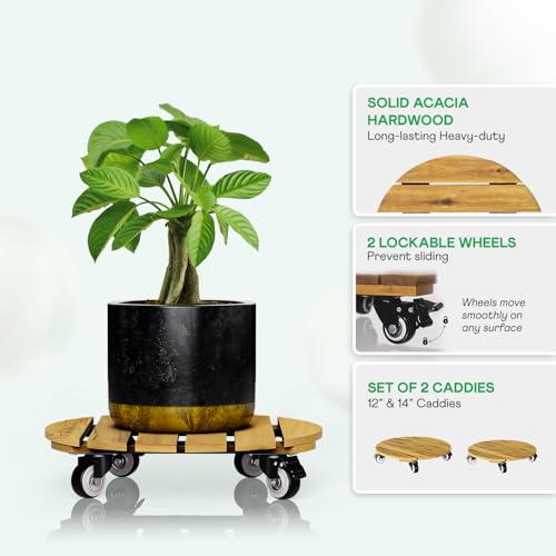 Combo 12 Inch and 14 Inch Acacia Wood Rolling Round Planter Caddies for Plant Pots (Round Wood Light Natural / 12 + 14 Inch)