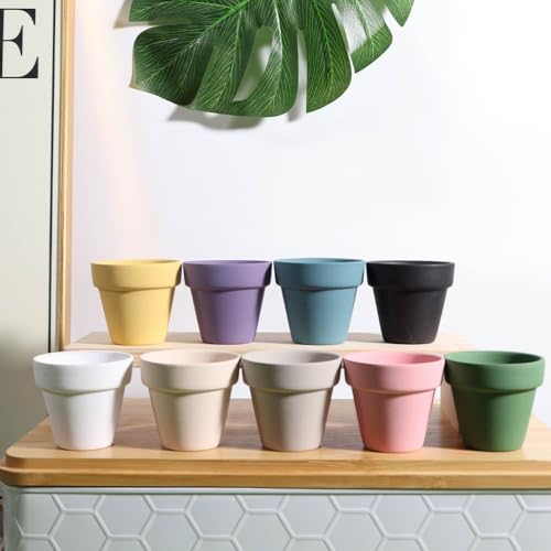 48 Pcs 2" Tiny Terracotta Pots with Drainage (48 Count)