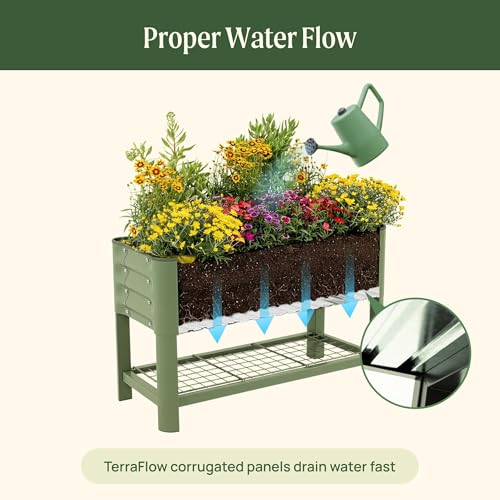 Elevated Raised Garden Bed for Kids Toddler