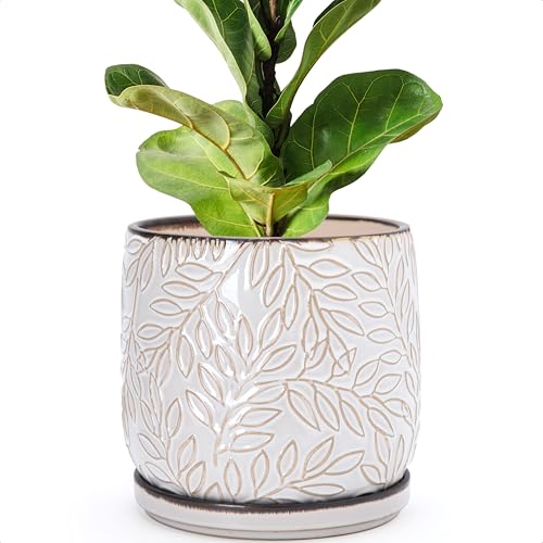 Embossed Leaves Ceramic Planter (8 Inch / Smoked White)