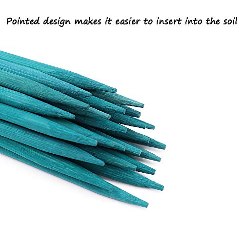 Plant Stakes 25Pcs (Green / 18 Inch 25Pack)