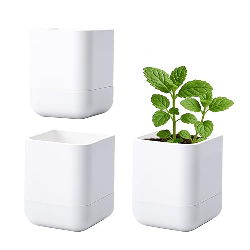 3.5 Inch Wall Mounted Self (3.5" (3 Pack) / White)