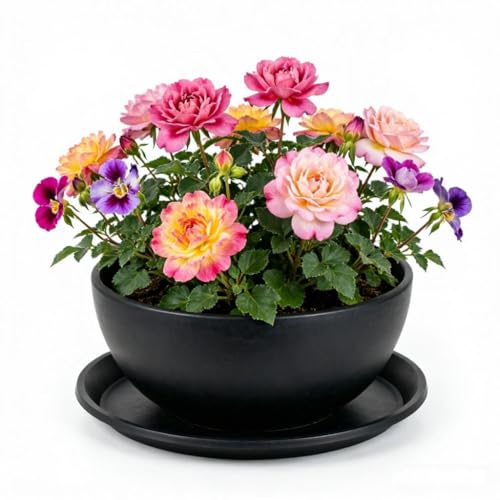 6 Pack 9.5 Inch (9.5"(6 Pack) / Black)
