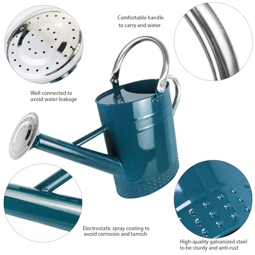 1 Gallon Metal Watering Can with Removable Spout (Ocean Blue)