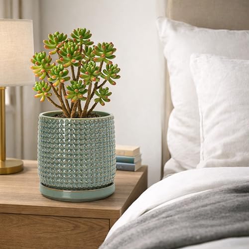 Beaded Ceramic Pot with Saucer (5.8 Inch / Olive)